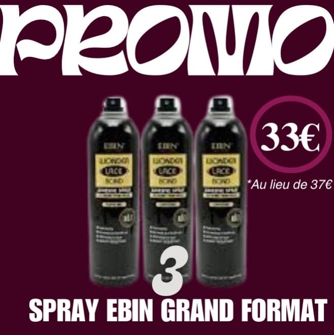 Spray EBIN Noir